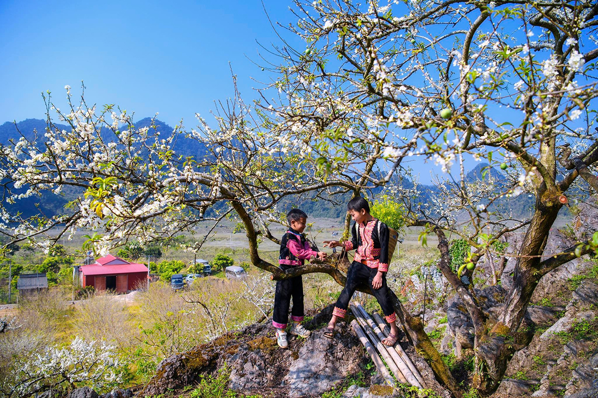 TOUR MAI CHÂU – MỘC CHÂU 2 NGÀY 1 ĐÊM