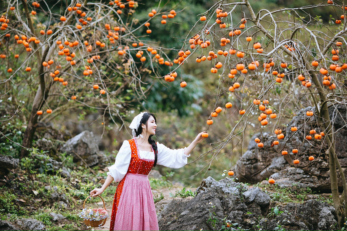 TOUR MAI CHÂU – MỘC CHÂU 3 NGÀY 2 ĐÊM