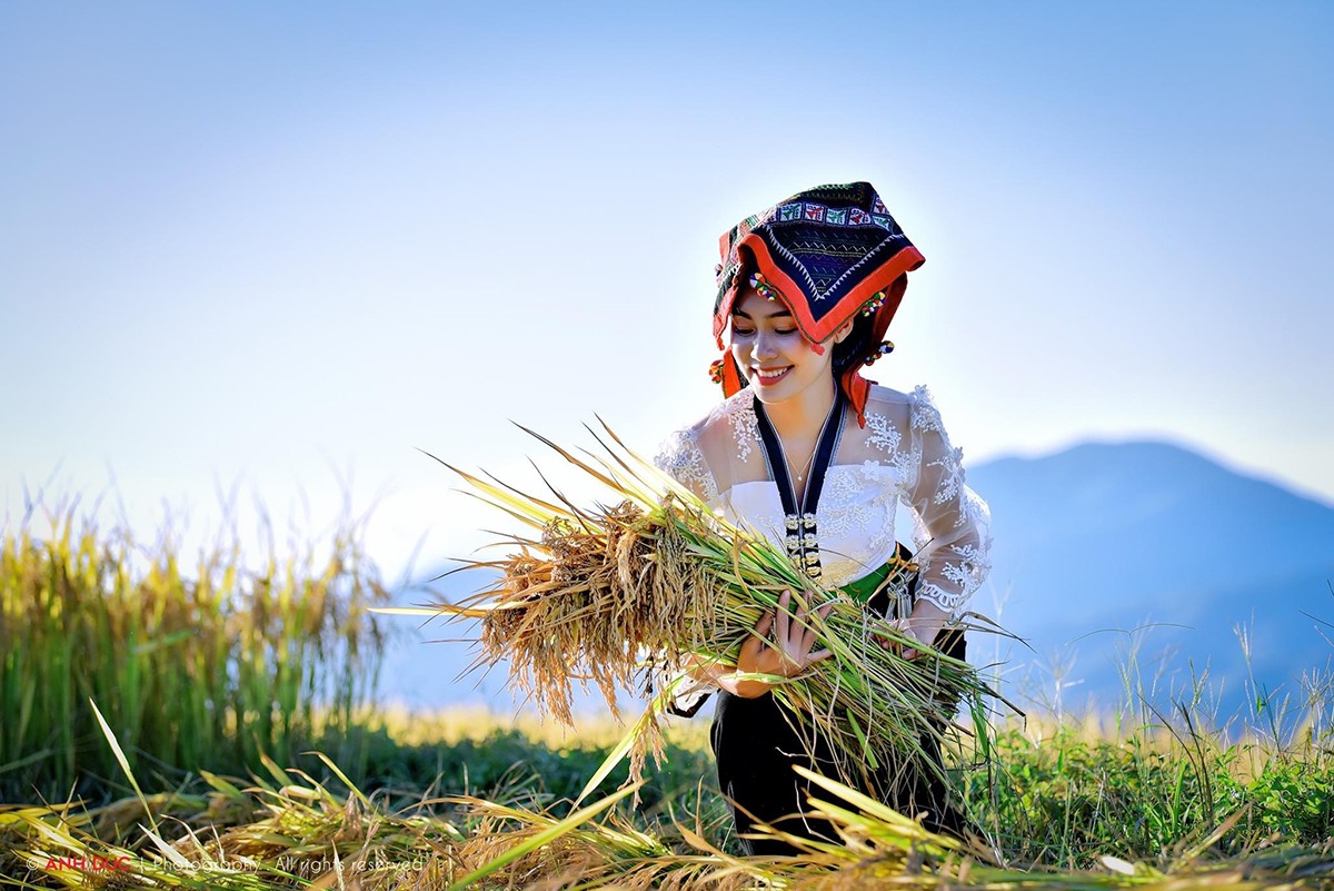 TOUR MÙ CANG CHẢI – SUỐI NÓNG TRẠM TẤU – TÚ LỆ 3 NGÀY 2 ĐÊM