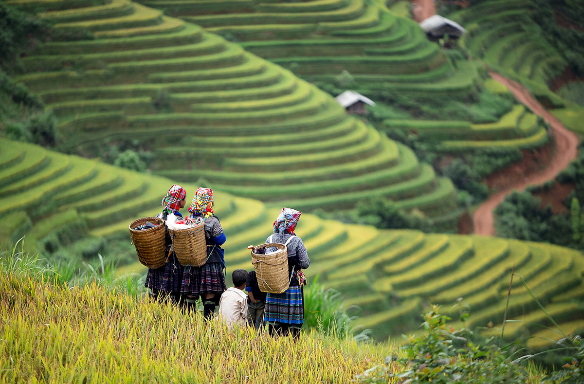 TOUR HÀ GIANG – MÙ CANG CHẢI 5 NGÀY 4 ĐÊM