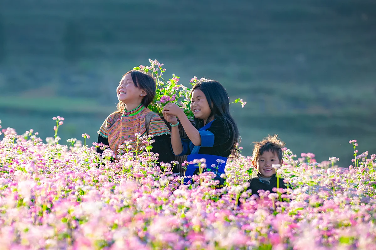 Tây Bắc bốn mùa Hoa